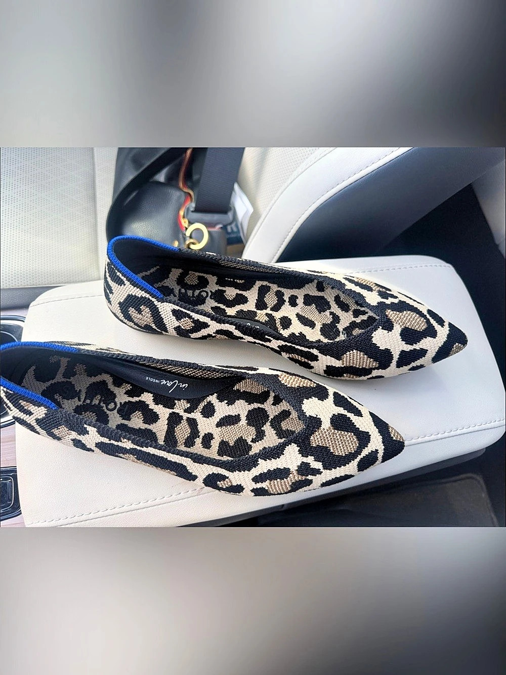 Rothy's The Point Leopard Print Pointed-Toe Flats